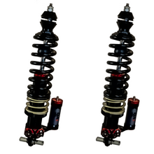 Load image into Gallery viewer, QA1 Shock Absorber And Coil Spring Assembly GD455-08700
