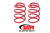 Lowering Springs  Front  Performance  GT500