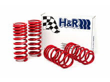 Load image into Gallery viewer, H&amp;R Special Springs Race Spring Kit