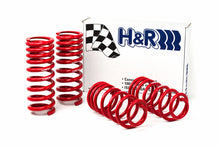 Load image into Gallery viewer, H&amp;R Special Springs Race Spring Kit
